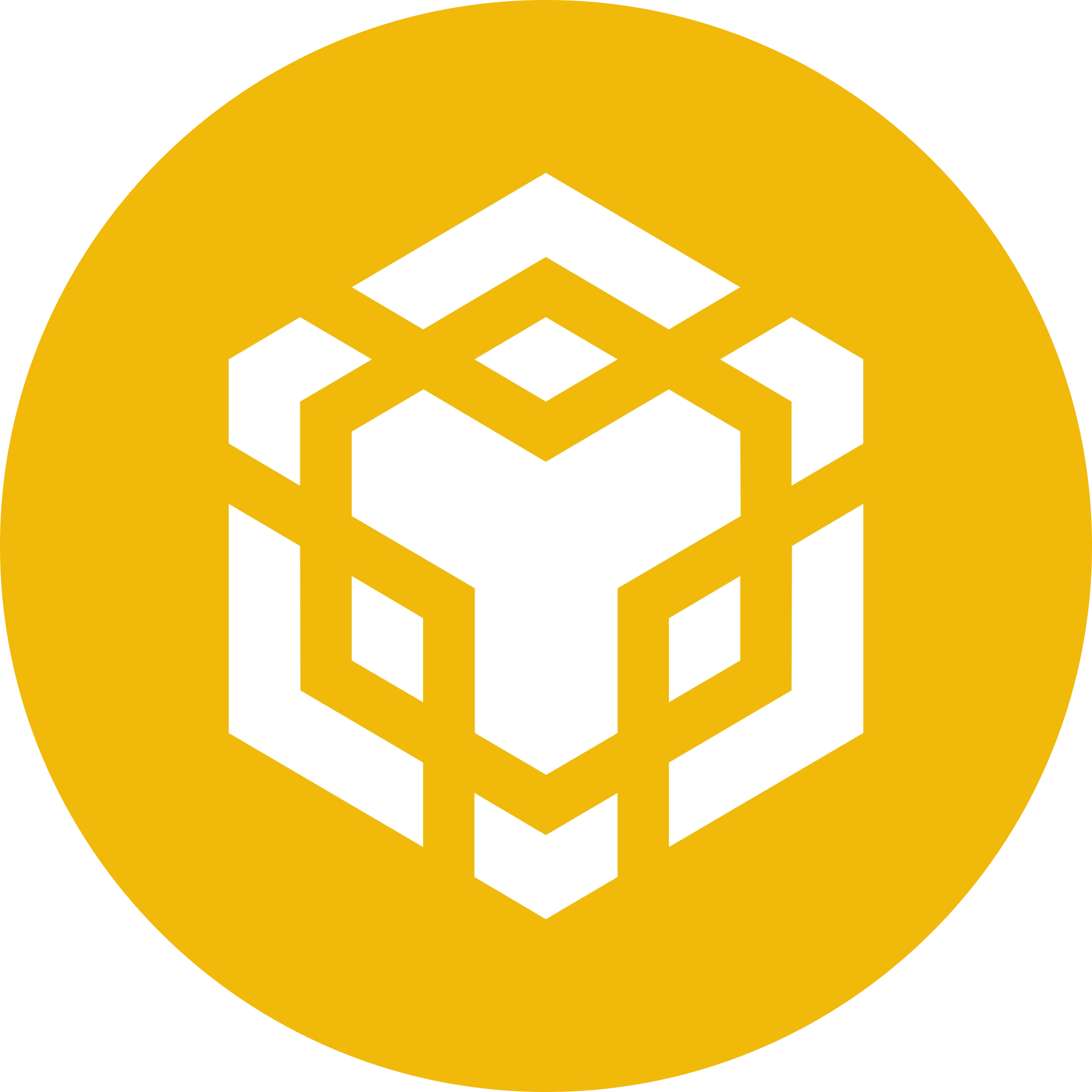 Binance Coin logo